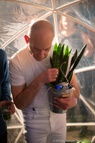 Fern Orchestra Fern Orchestra